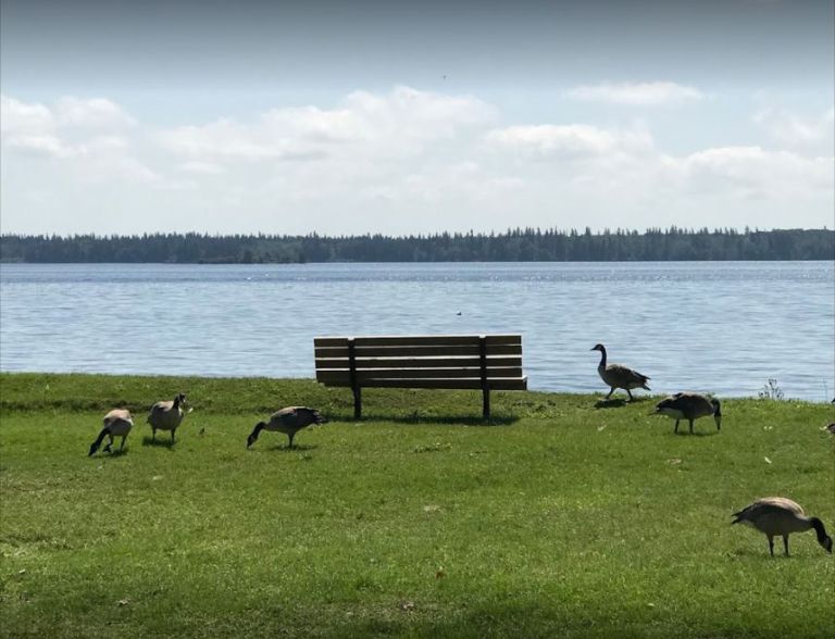 Chitek Lake Campground