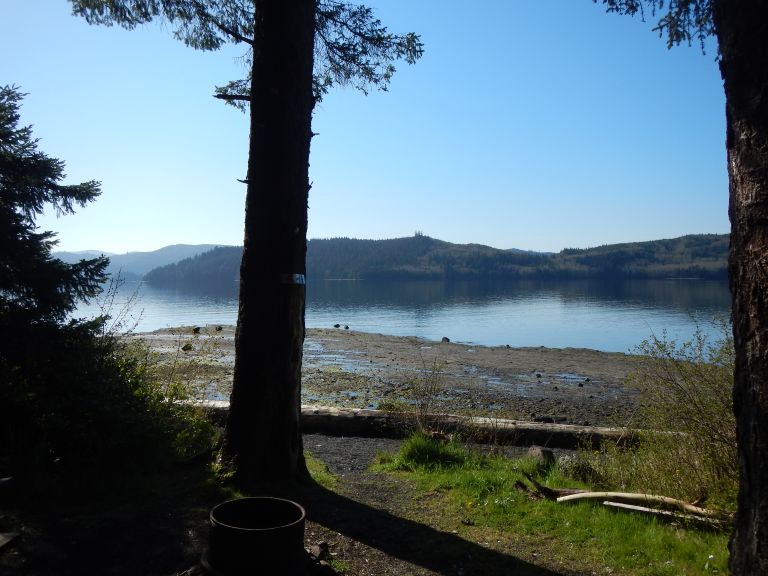 Haydn Turner Park Municipal Campsite photo 2