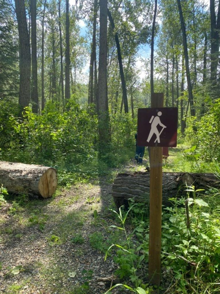 Blackfoot Regional Park photo 5