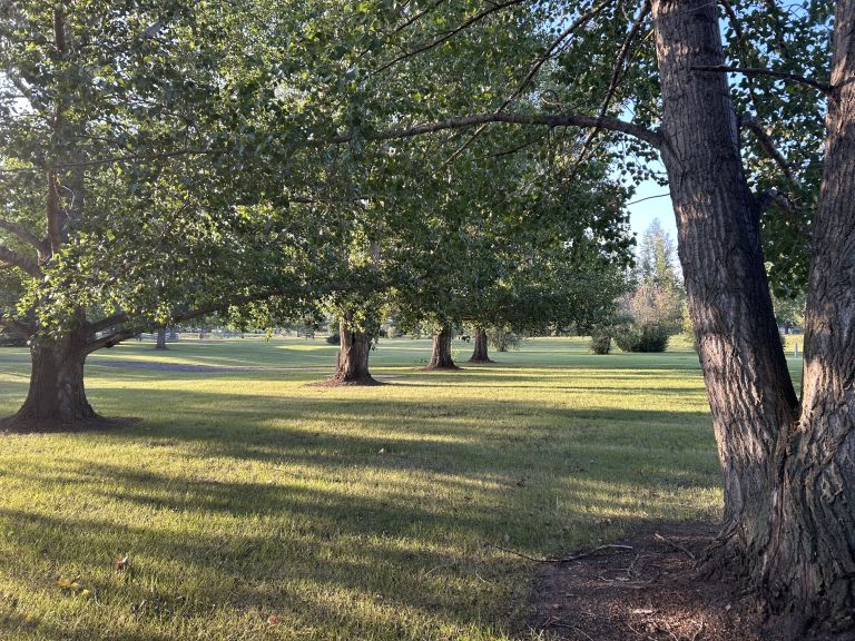 Delfrari Park and Campground photo 5