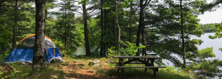 Depot Lakes Conservation Area photo 3