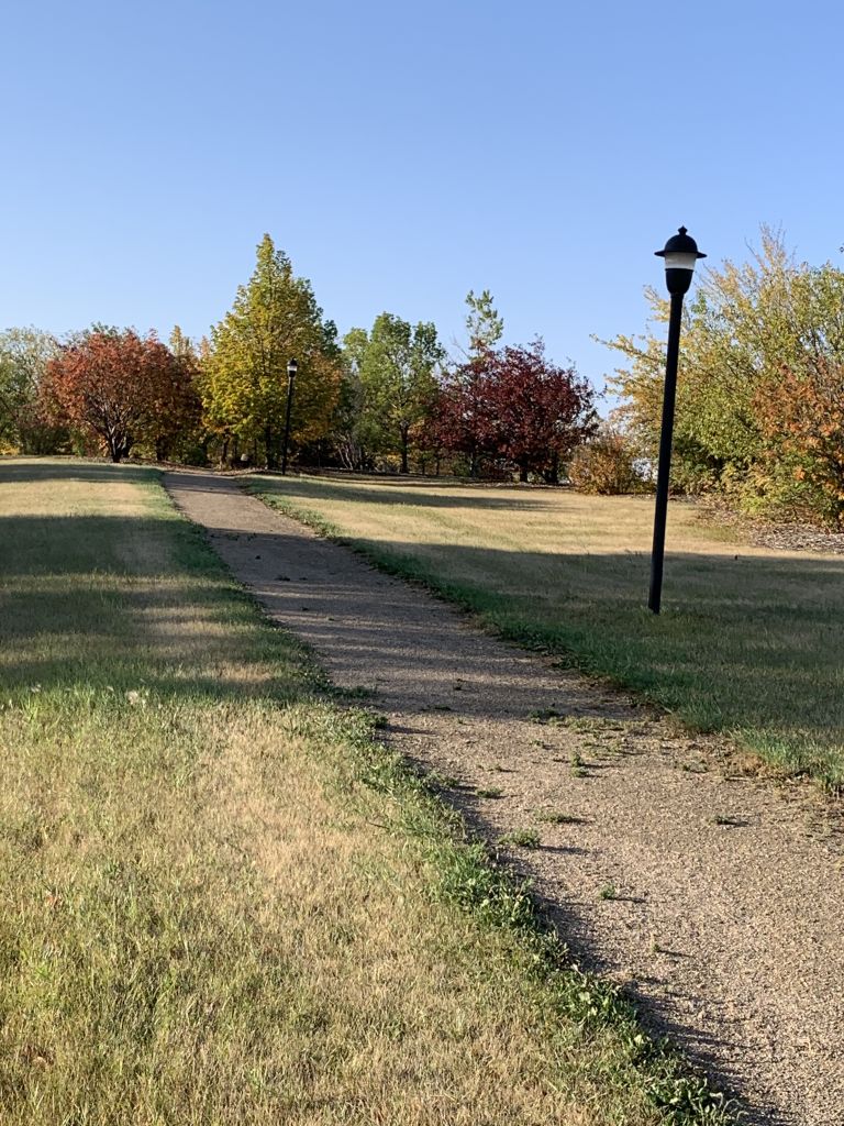 Imperial Campground photo 3