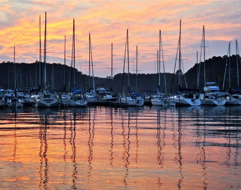 Steele Creek Marina & Campground photo 4