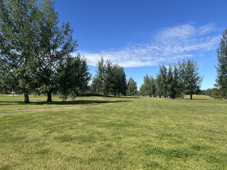 Delfrari Park and Campground photo 2