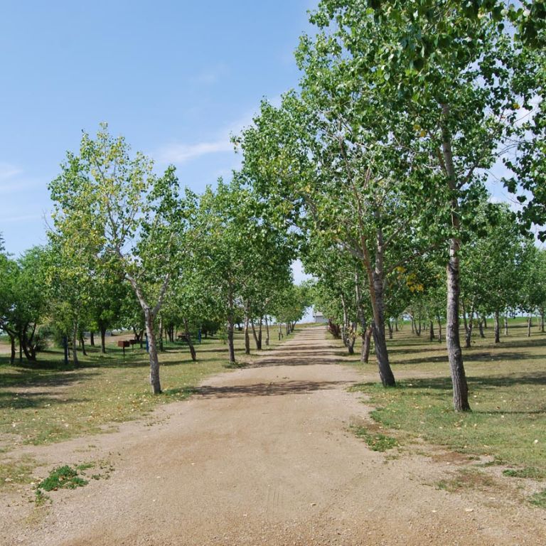 Radville Laurier Regional Park / Radius Credit Union Campground