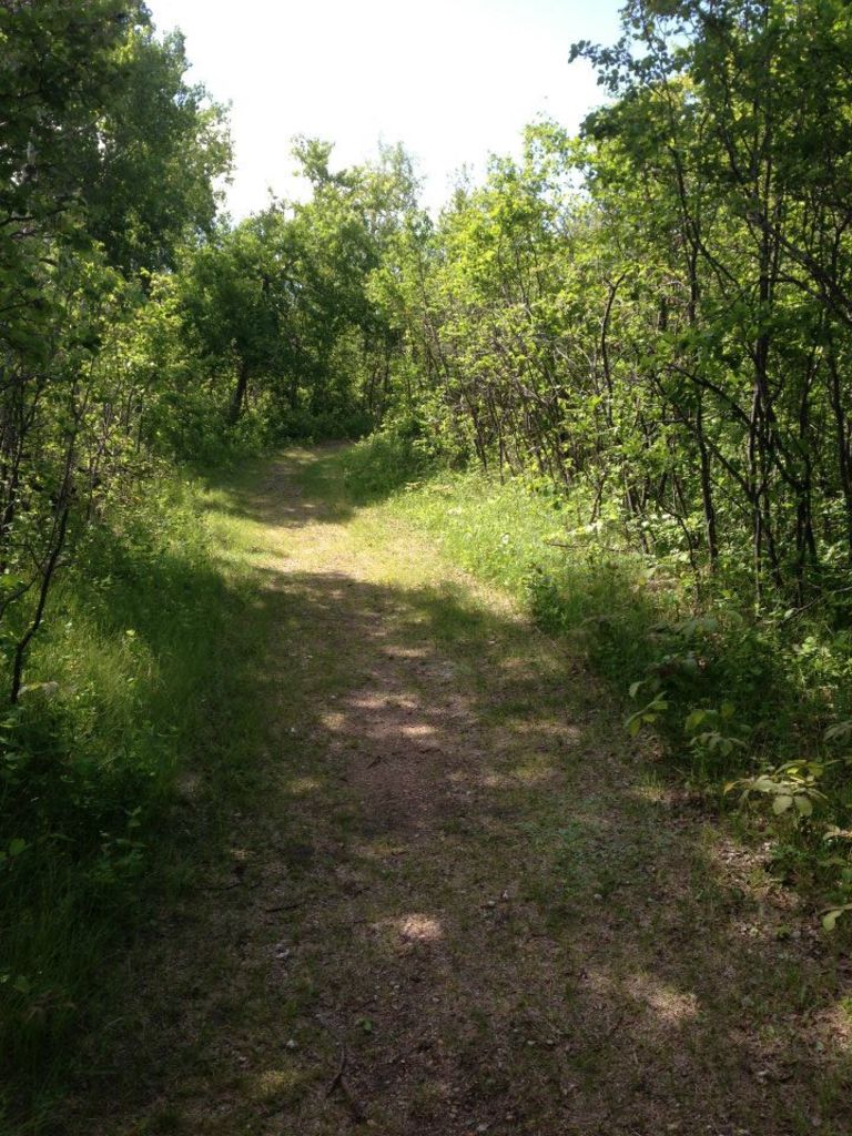 Rochon Sands Provincial Park Campground photo 5