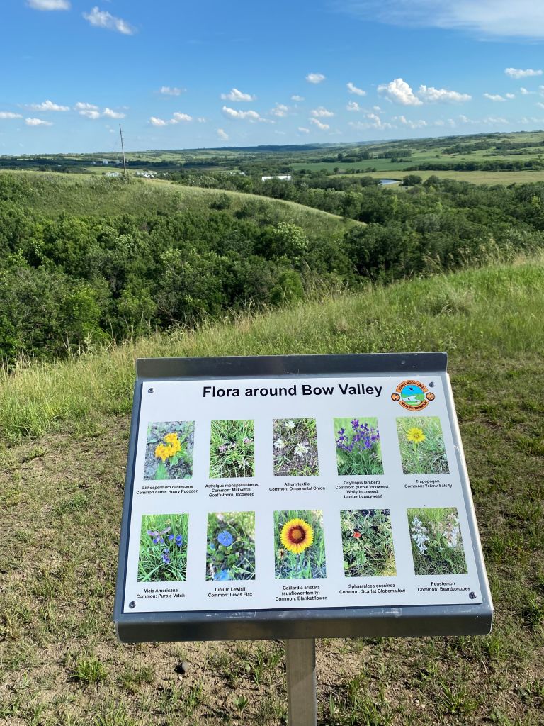Bow Valley Park photo 5