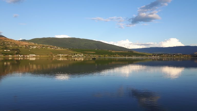 Swan Lake RV Park and Campground photo 2