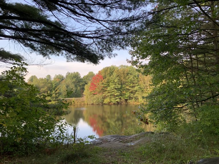 Camping in Muskoka photo 3