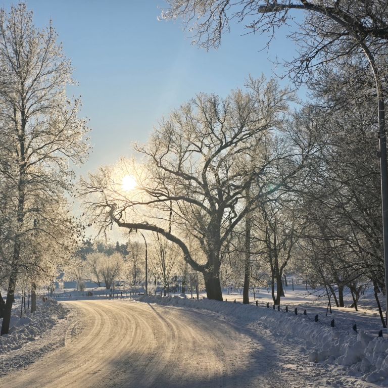 Souris - Victoria Park Campground photo 4