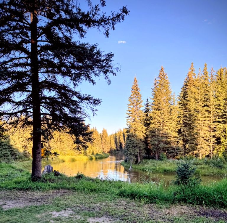 Wolf Creek RV Park and Campground photo 4