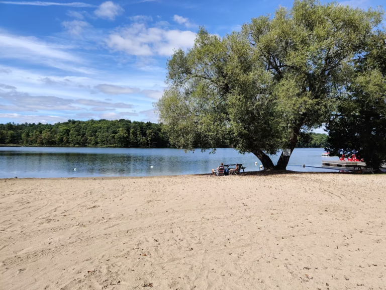 Graham Lake Oasis photo 2