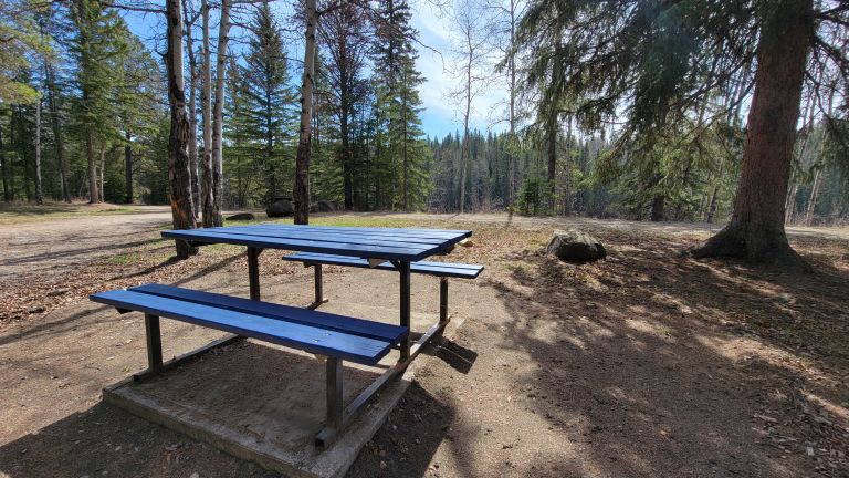 Willmore Park Campground photo 5
