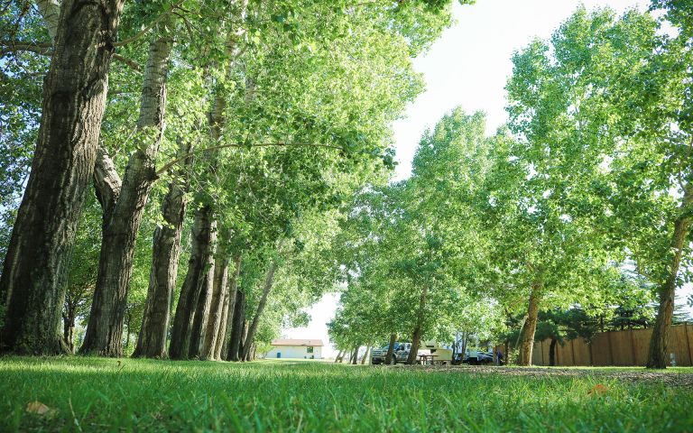 Eastview Park Campground