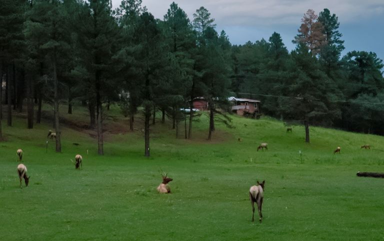 Scenic Canyon RV Park photo 2