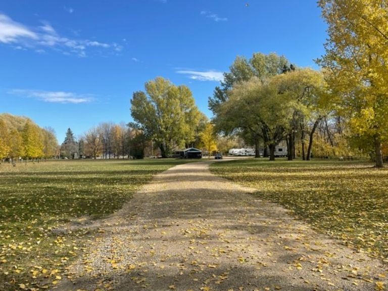 Williams RV Park and Campground photo 5