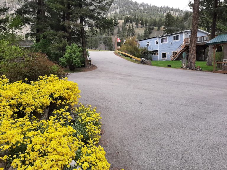 Gold Mountain RV Park & Cabins photo 5