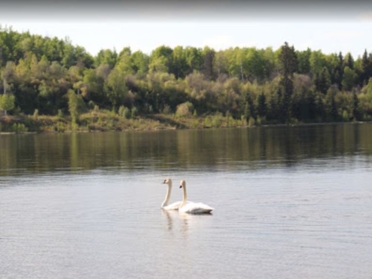 Spring Lake Campground photo 3