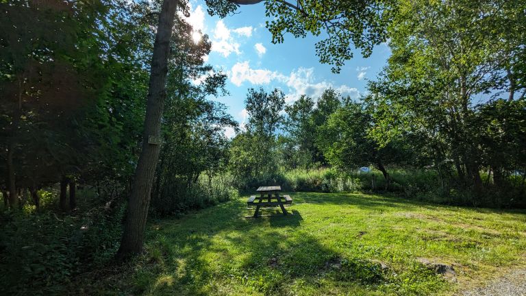 Rockwood Park Campground photo 5