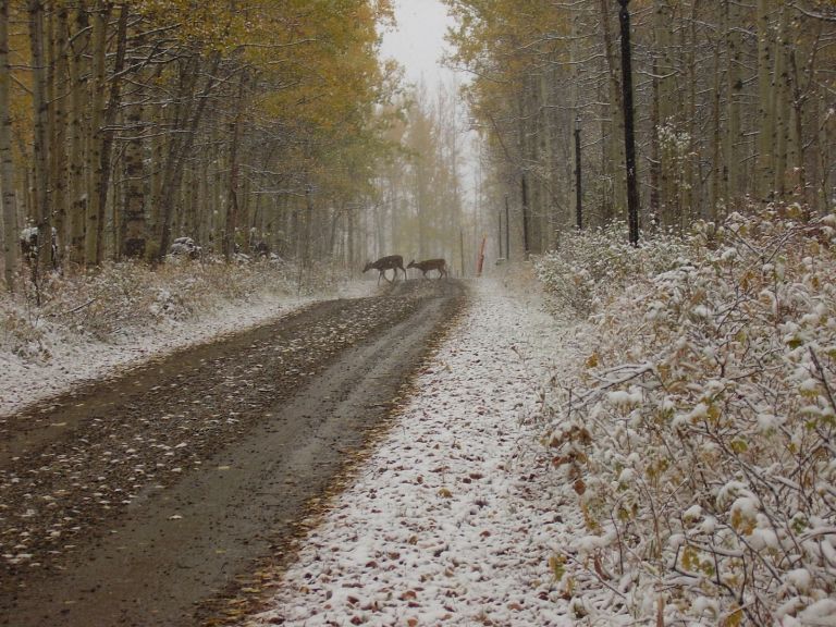 Aspen Campground & Education Centre photo 3