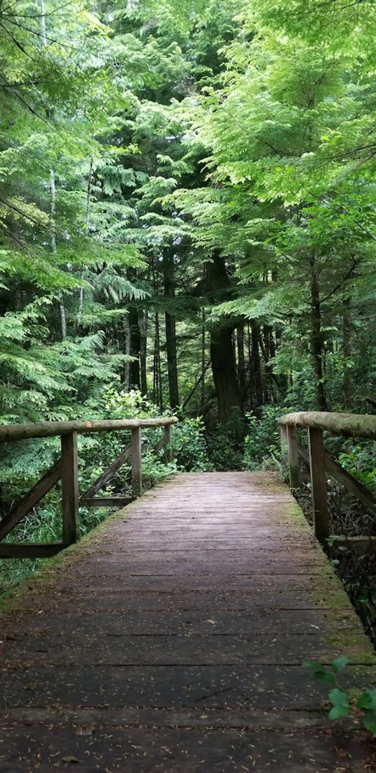 Alert Bay Campground photo 3