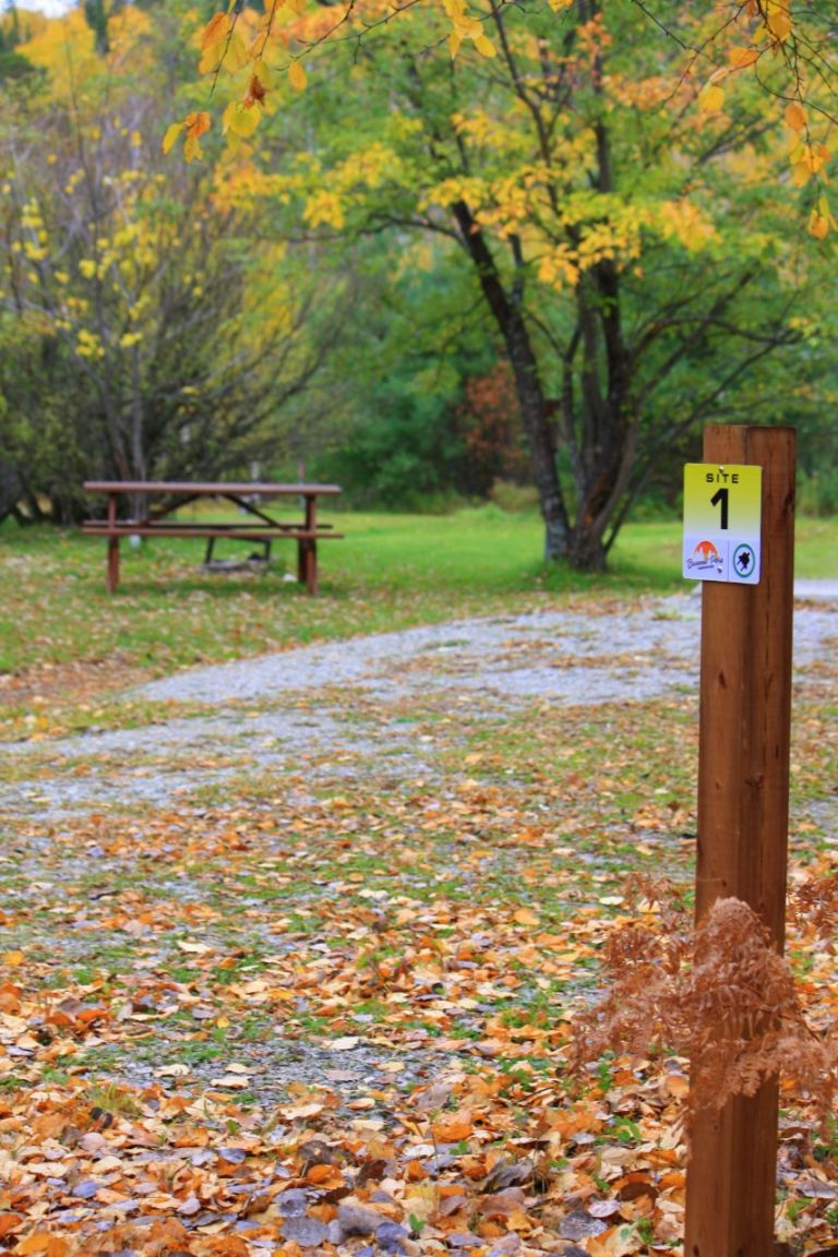 Bunnell Park Campground photo 5