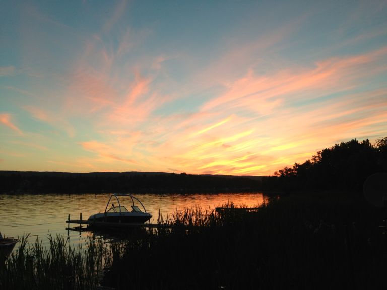 Martins Lake Regional Park photo 3