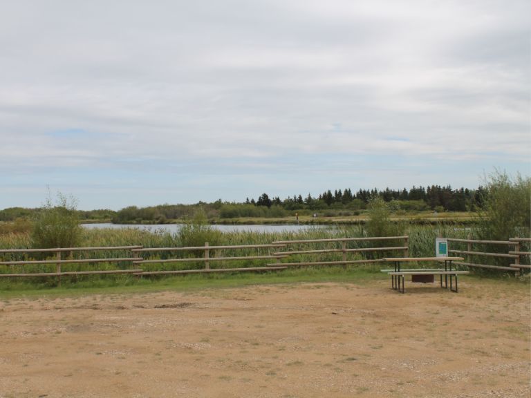 Black Nugget Lake Campground photo 3