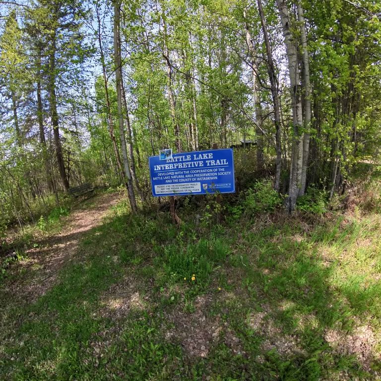 Battle Lake Campground photo 5
