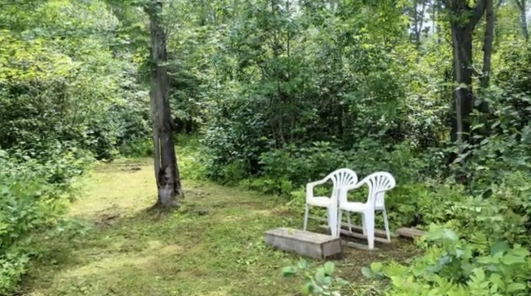 Coy Lake Campground & RV photo 3
