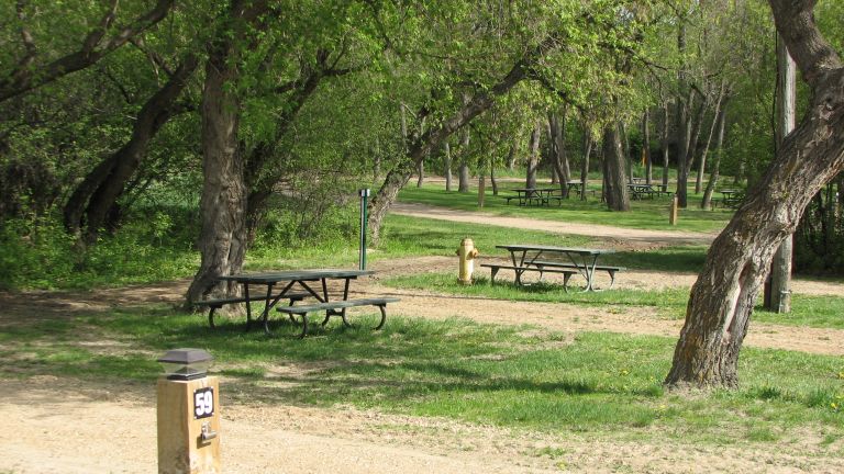 Lorne Calvert Campground photo 2