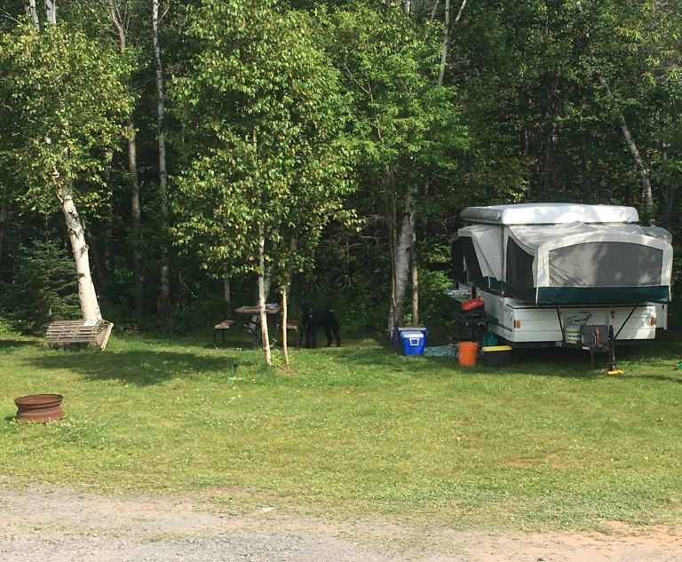 Ocean Acres Cottages & Campground photo 2