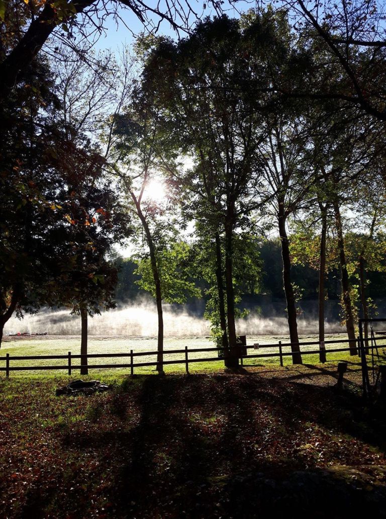 Mal's Camping photo 4