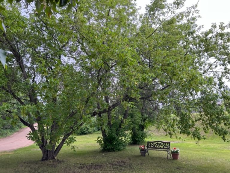 Riel Beach - Photo 3