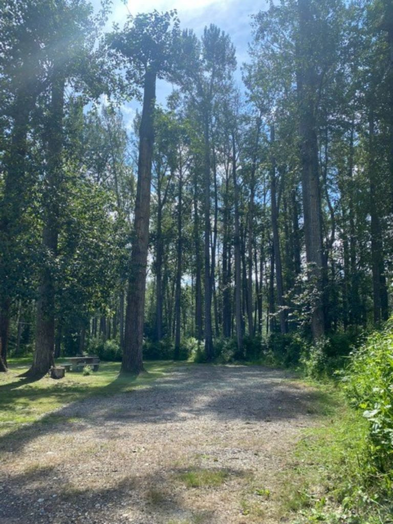 Blackfoot Regional Park photo 2
