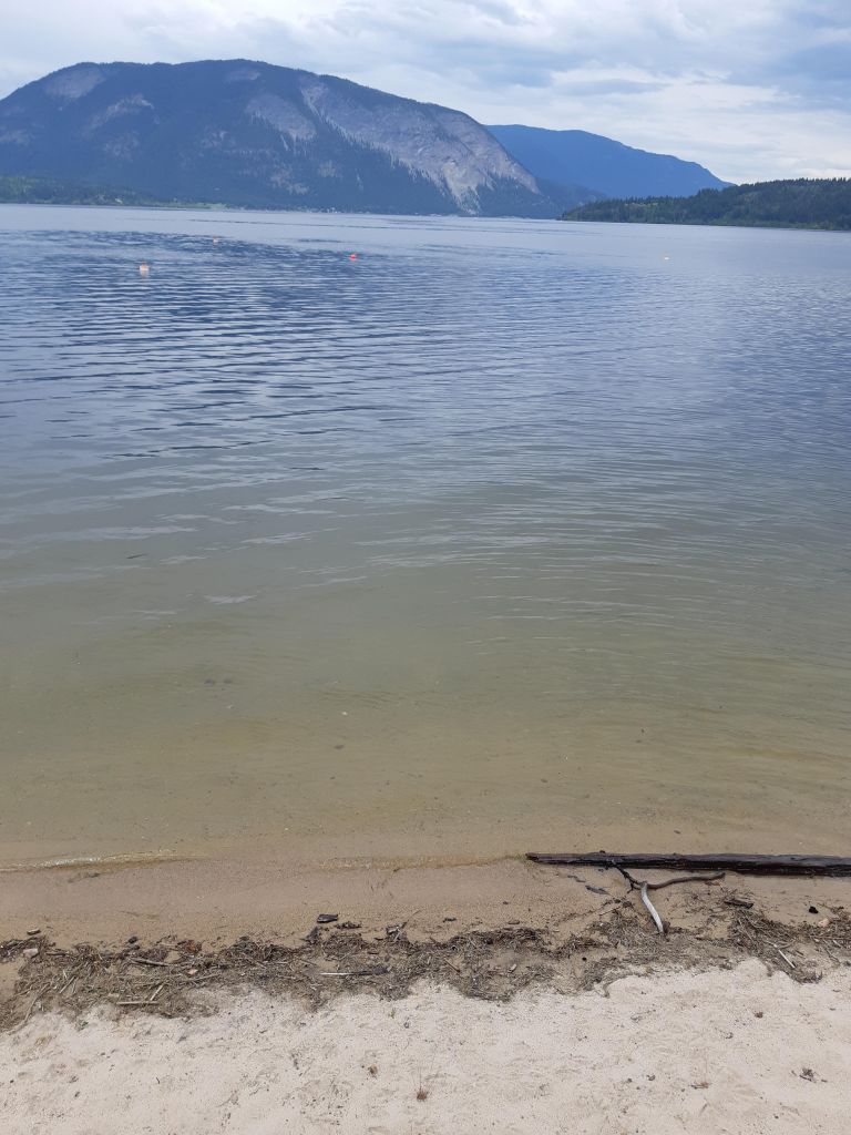 Sandy Point Campground photo 5
