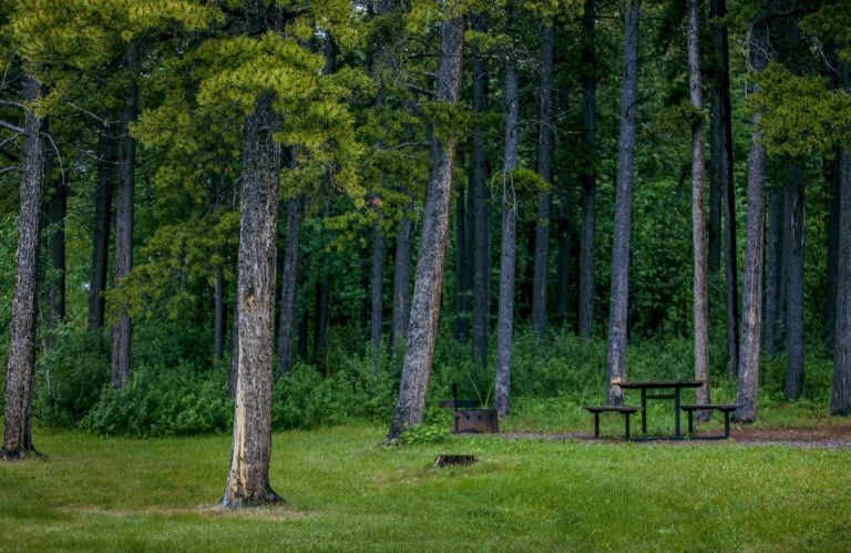 Grande Cache Campground photo 5