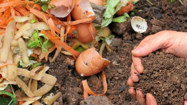 Image of fruit and veg peelings about to go in a compost heap