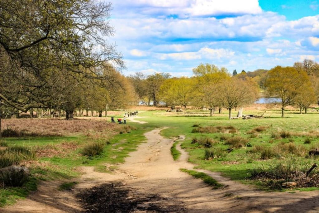 Air Run - Richmond Park 2020 - Half Marathon in London, UK ...