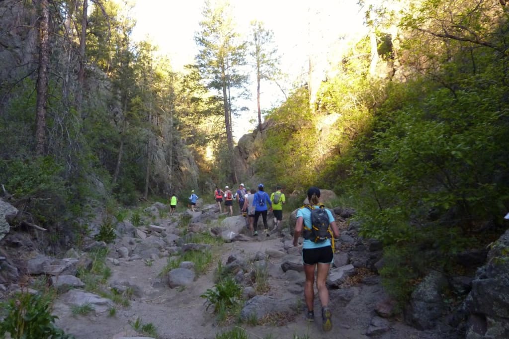Jemez Mountain Trail Runs 2020 Running in Los Alamos, NM — Let’s Do This
