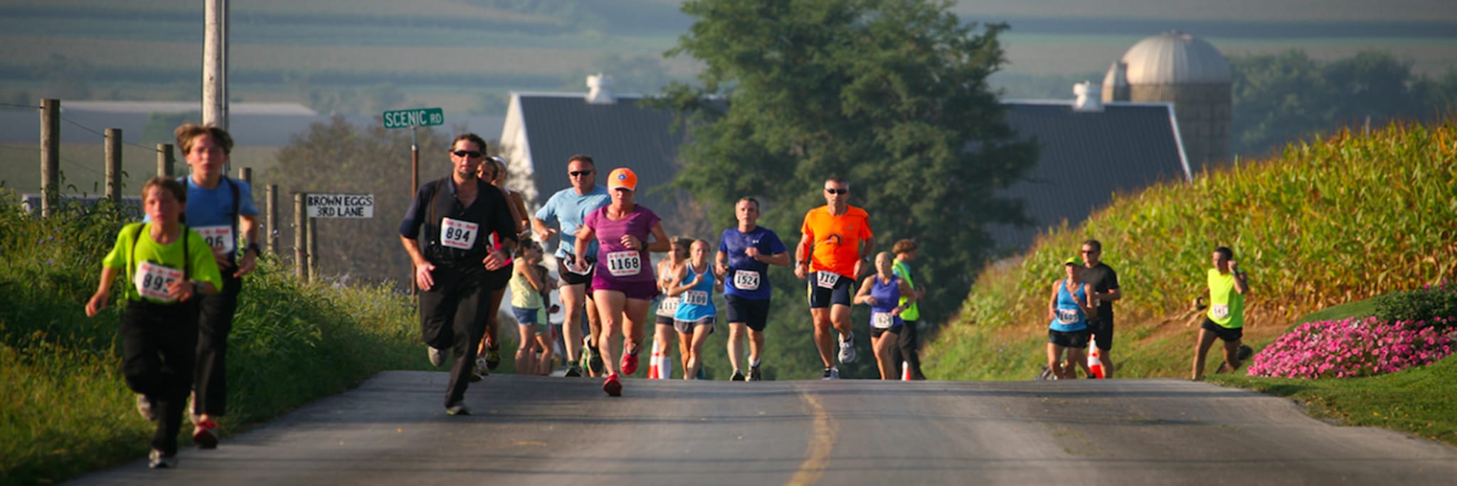 Bird In Hand Half Marathon 2019 Results Amish Country Bird In Hand Half Marathon 5k 2019 Half Marathon In Bird In Hand Pa Let S Do This