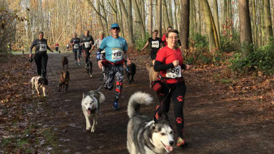 Calendrier Canicross 2023 Canicross In United Kingdom 2022 | Let's Do This