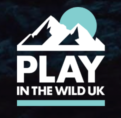 Play in the Wild 