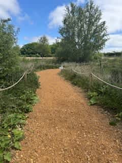 Secondary header image