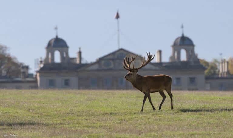 Secondary header image