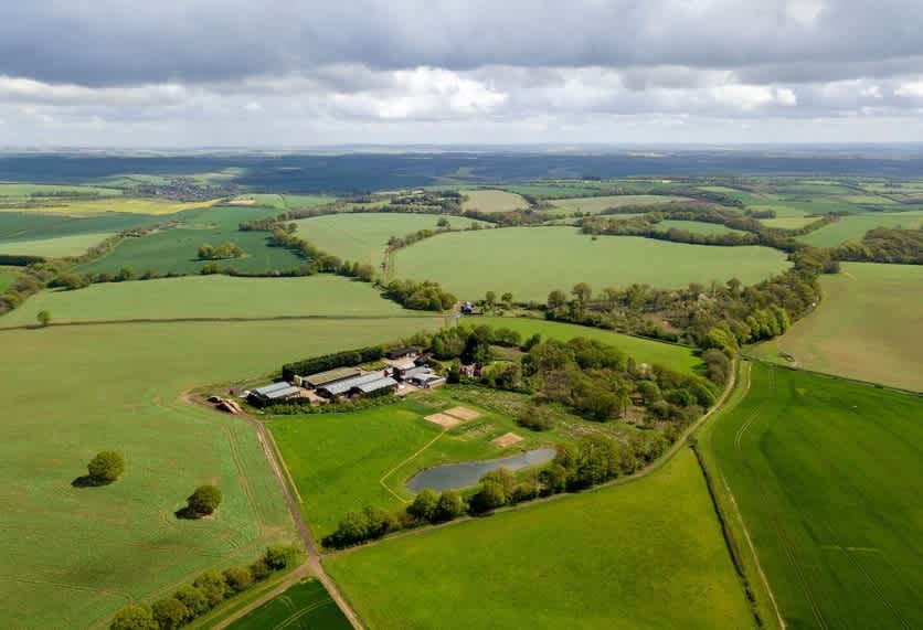 Secondary header image