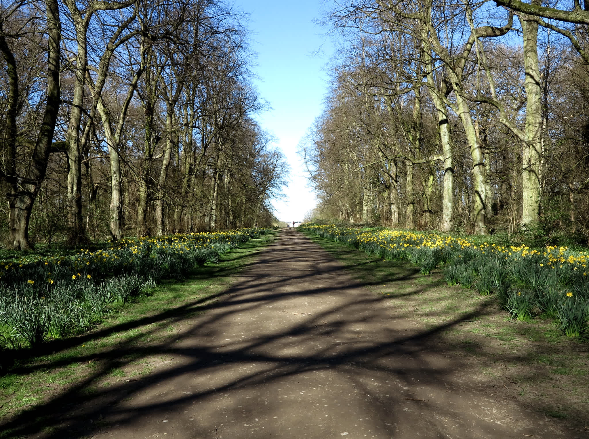 Secondary header image