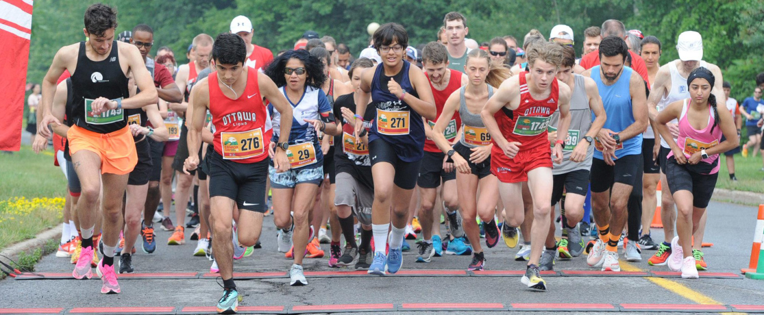 Secondary header image