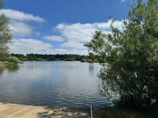 Secondary header image