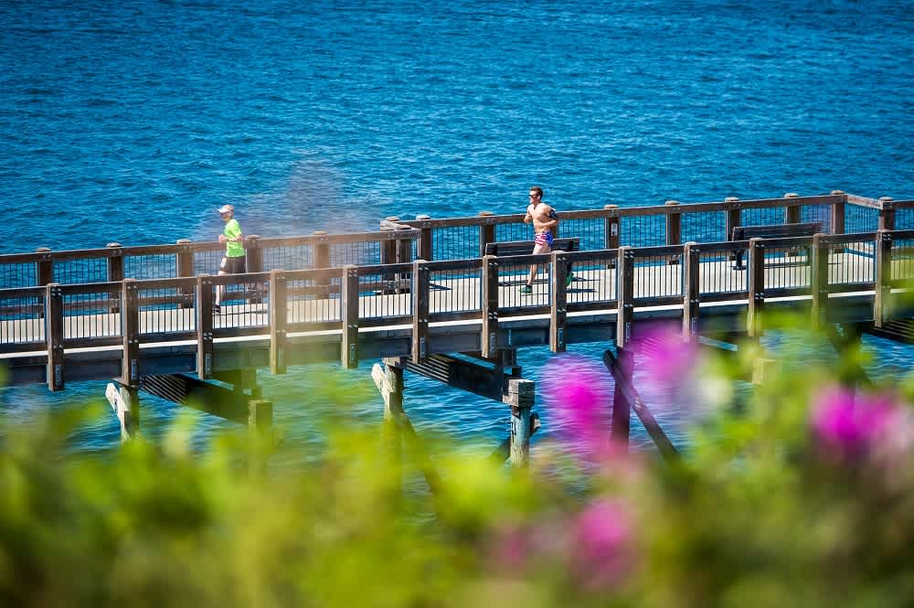 Secondary header image